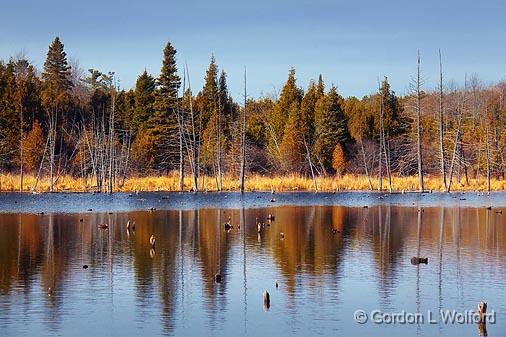 Stony Swamp_10657.jpg - Photographed at Ottawa, Ontario - the capital of Canada.